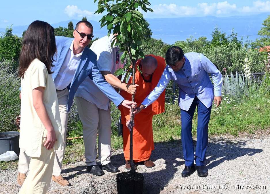 Yoga in Daily Life Rijeka celebrates World Environment Day