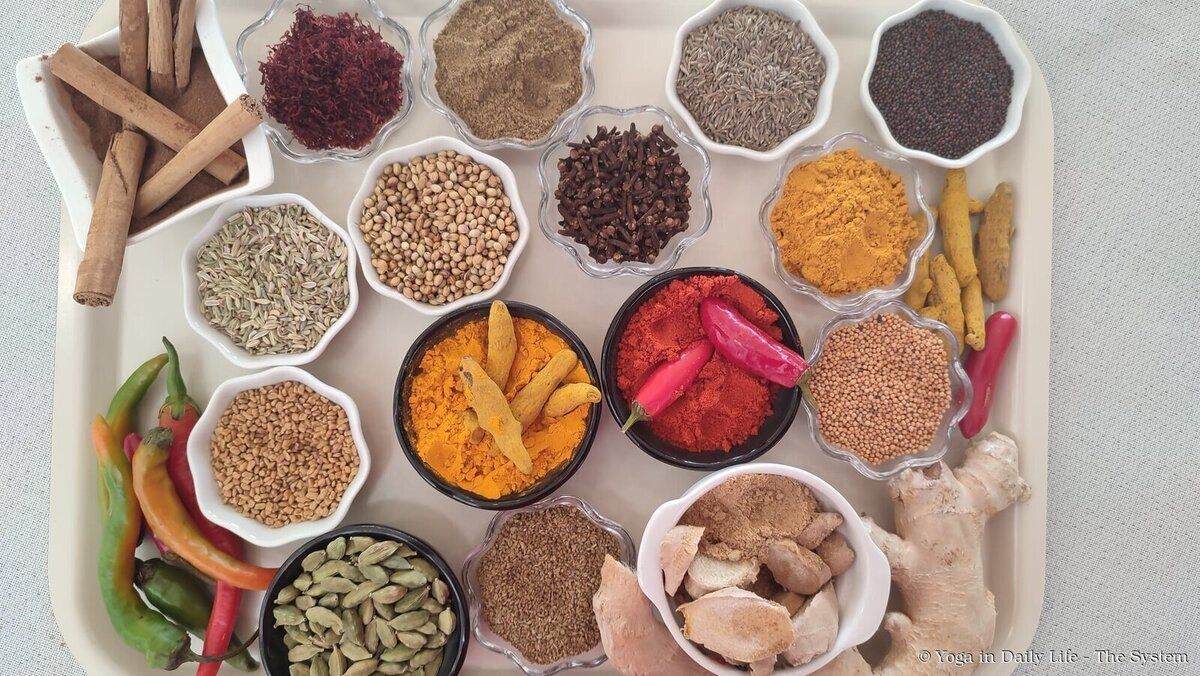 5.2.ayurveda2 wm