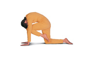 Asanas and Exercises to Strengthen the Hip Muscles