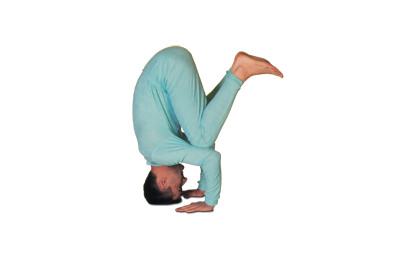 4 – 13 Vrikshasana  – Variation L’arbre - Variation