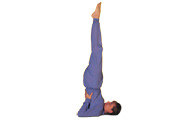 Sarvangasana